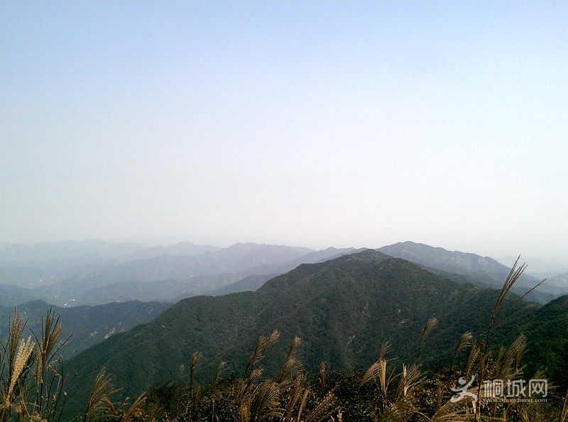 IMAG0261.jpg