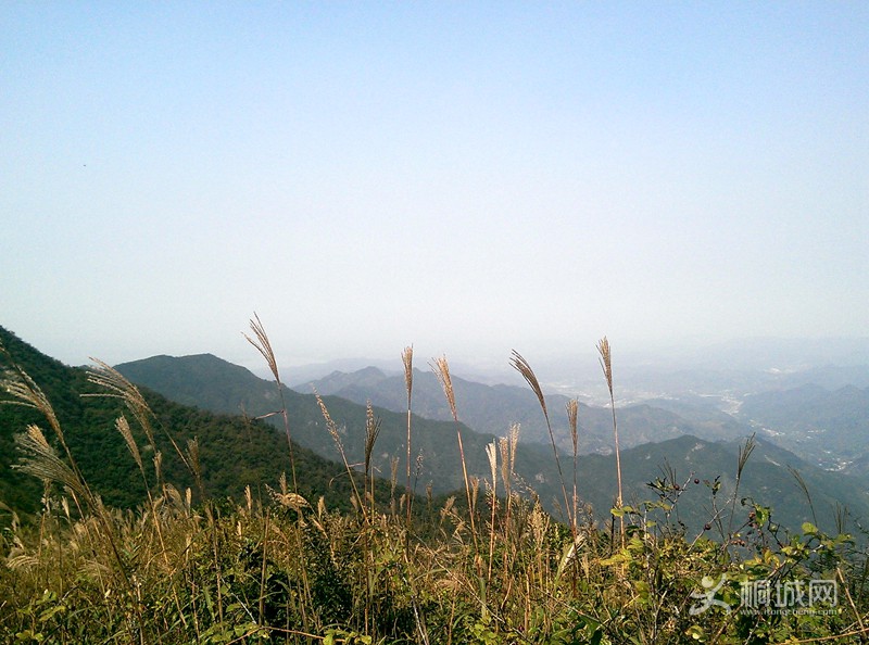 IMAG0262.jpg