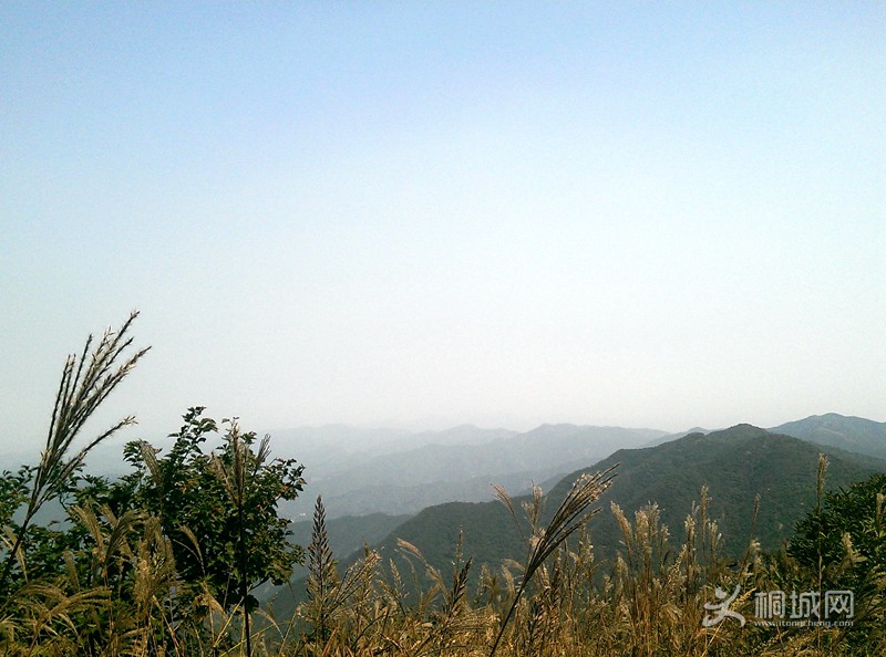 IMAG0263.jpg