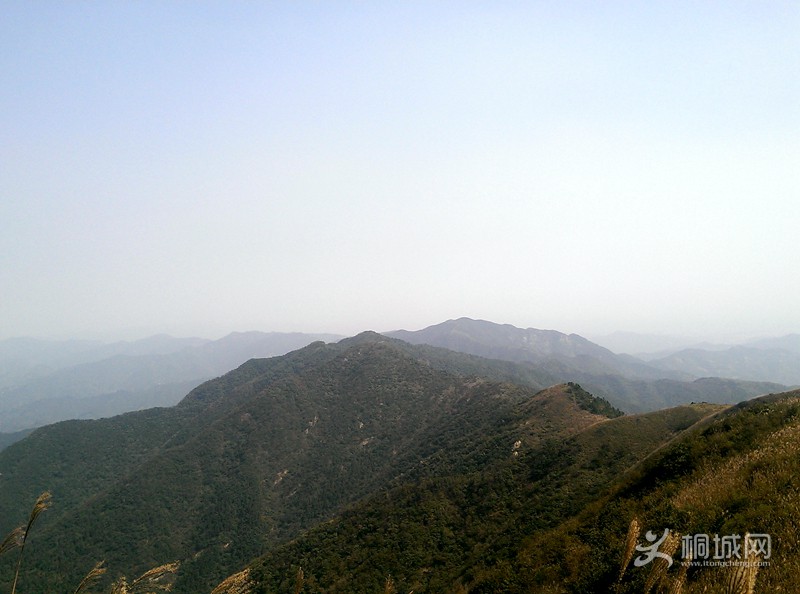 IMAG0266.jpg