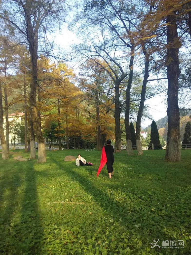 IMG_20141026_161205.jpg