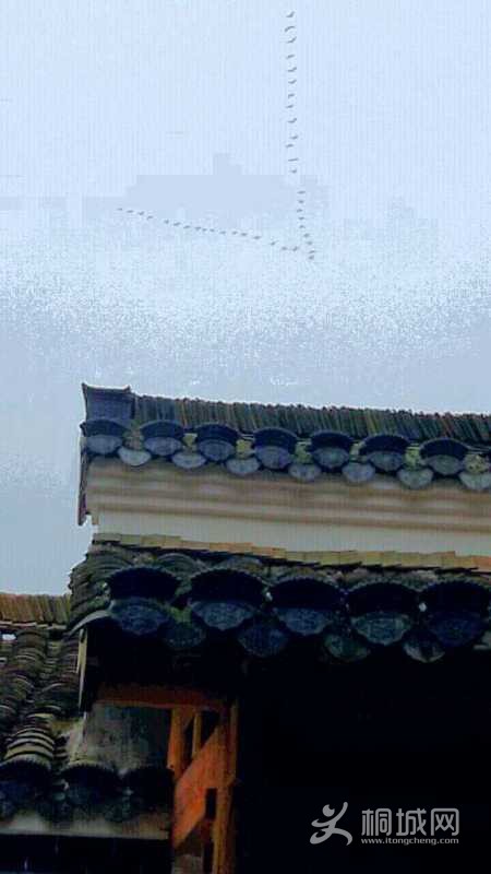 循֡¥
