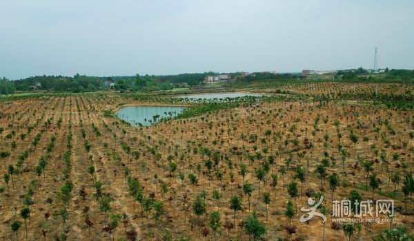 ��ɽ԰��һ��