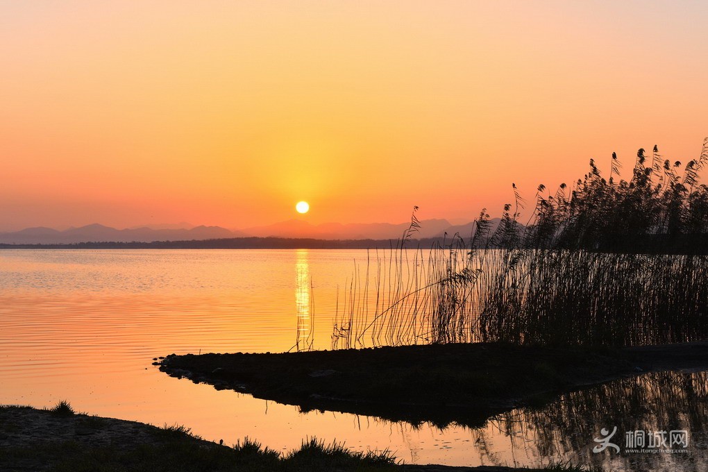 DSC_1393-a.jpg