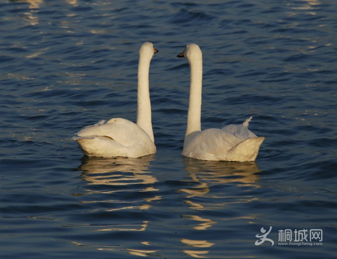 58_MG_0708.JPG