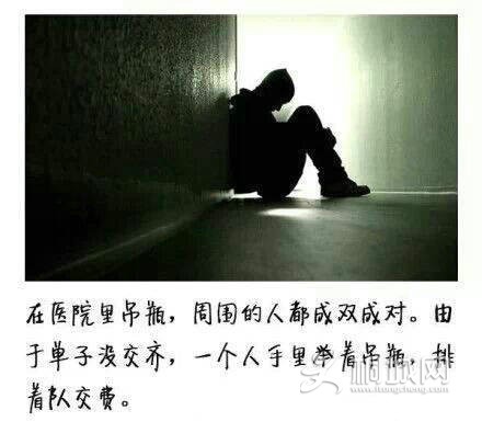 8B24C11C61B1FDA1240C8B9E355F1D8C.jpg