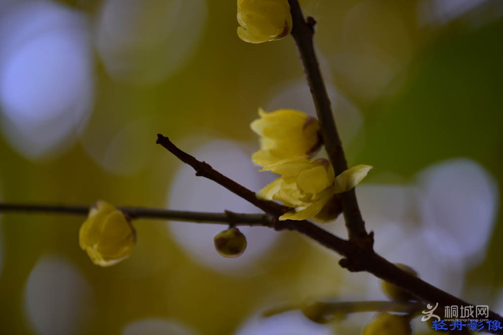 DSC_2692.jpg