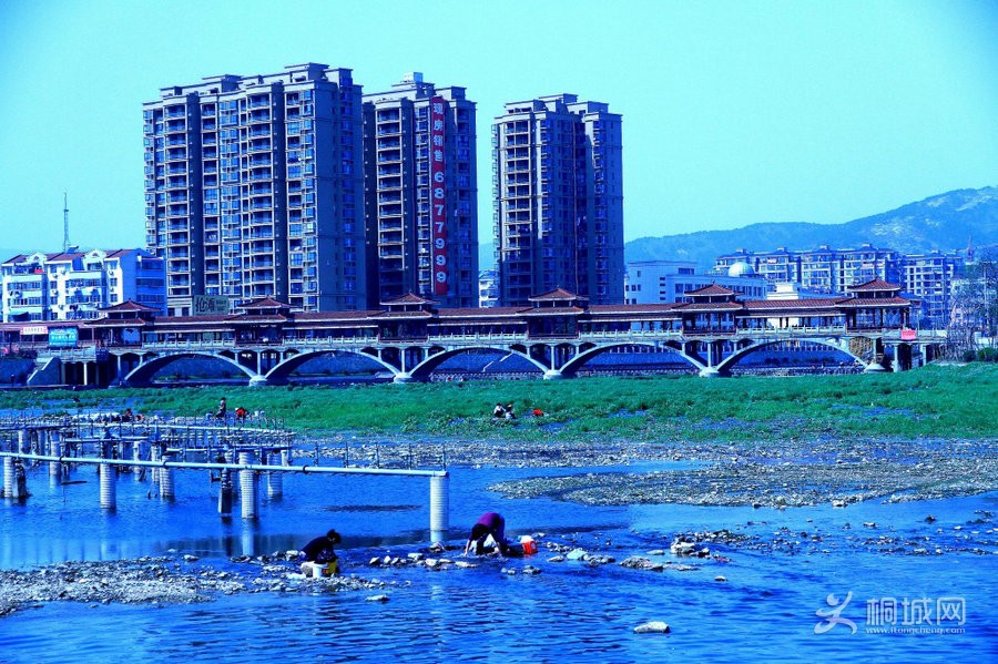 ߺ-22.jpg