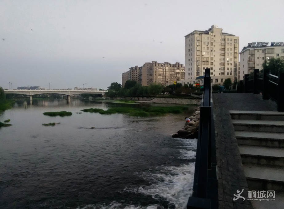 IMG_20140903_184433.jpg
