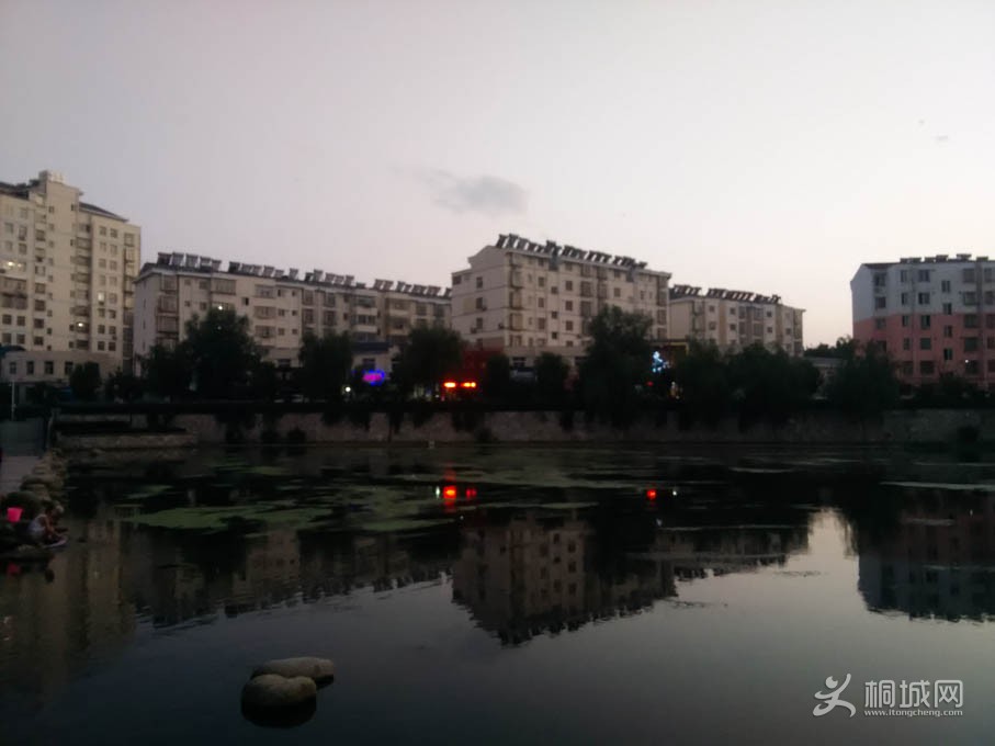 IMG_20140903_184411.jpg