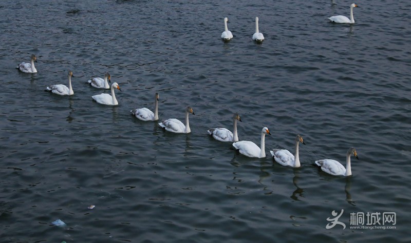 87_MG_1527.JPG