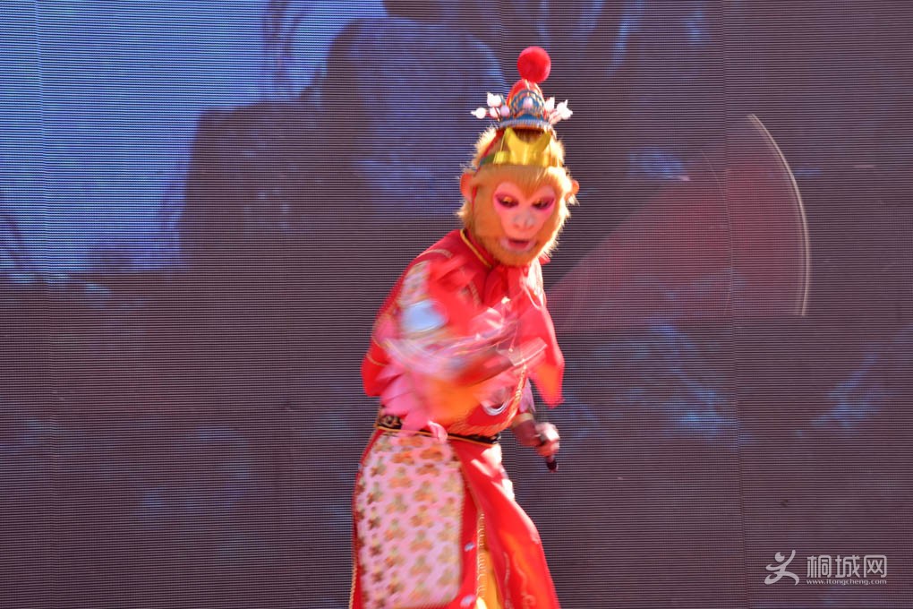 DSC_2972.jpg
