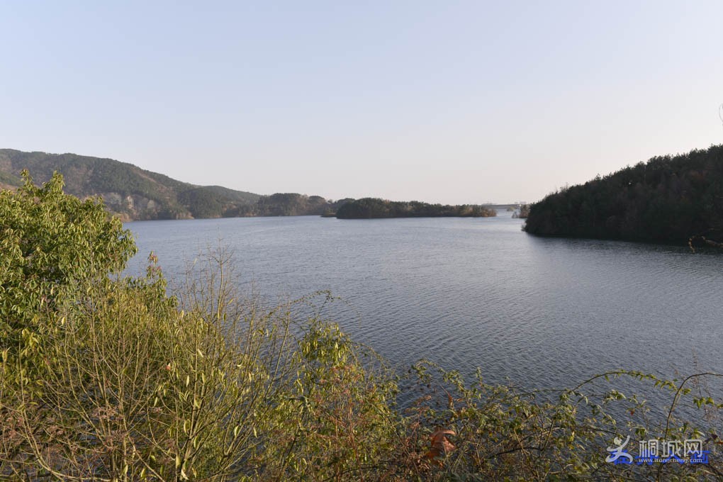 DSC_0905.jpg