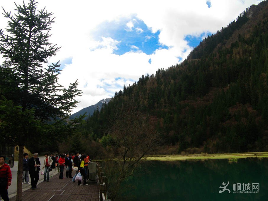 IMG_1463.jpg
