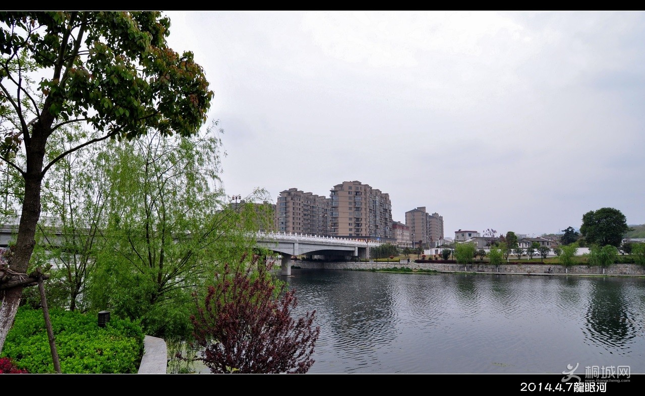 DSC_2954b.jpg