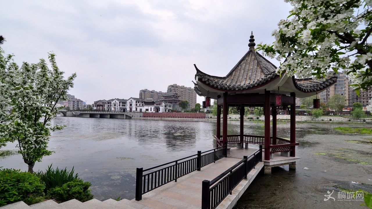 DSC_2980b.jpg