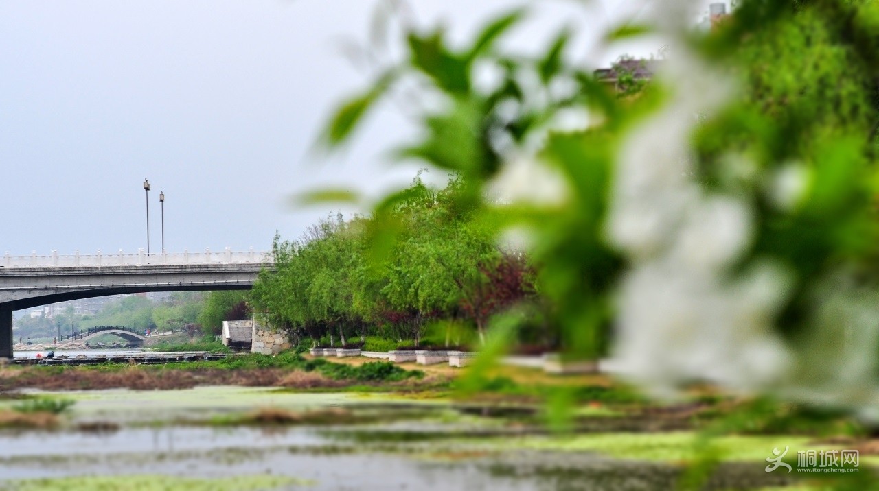 DSC_3002b2.jpg