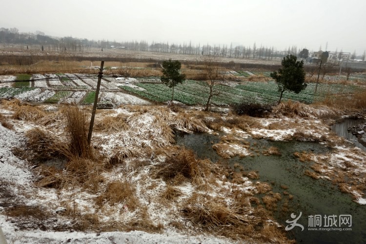 DSC03654_conew1.jpg
