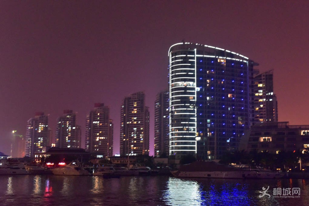 DSC_4103.jpg