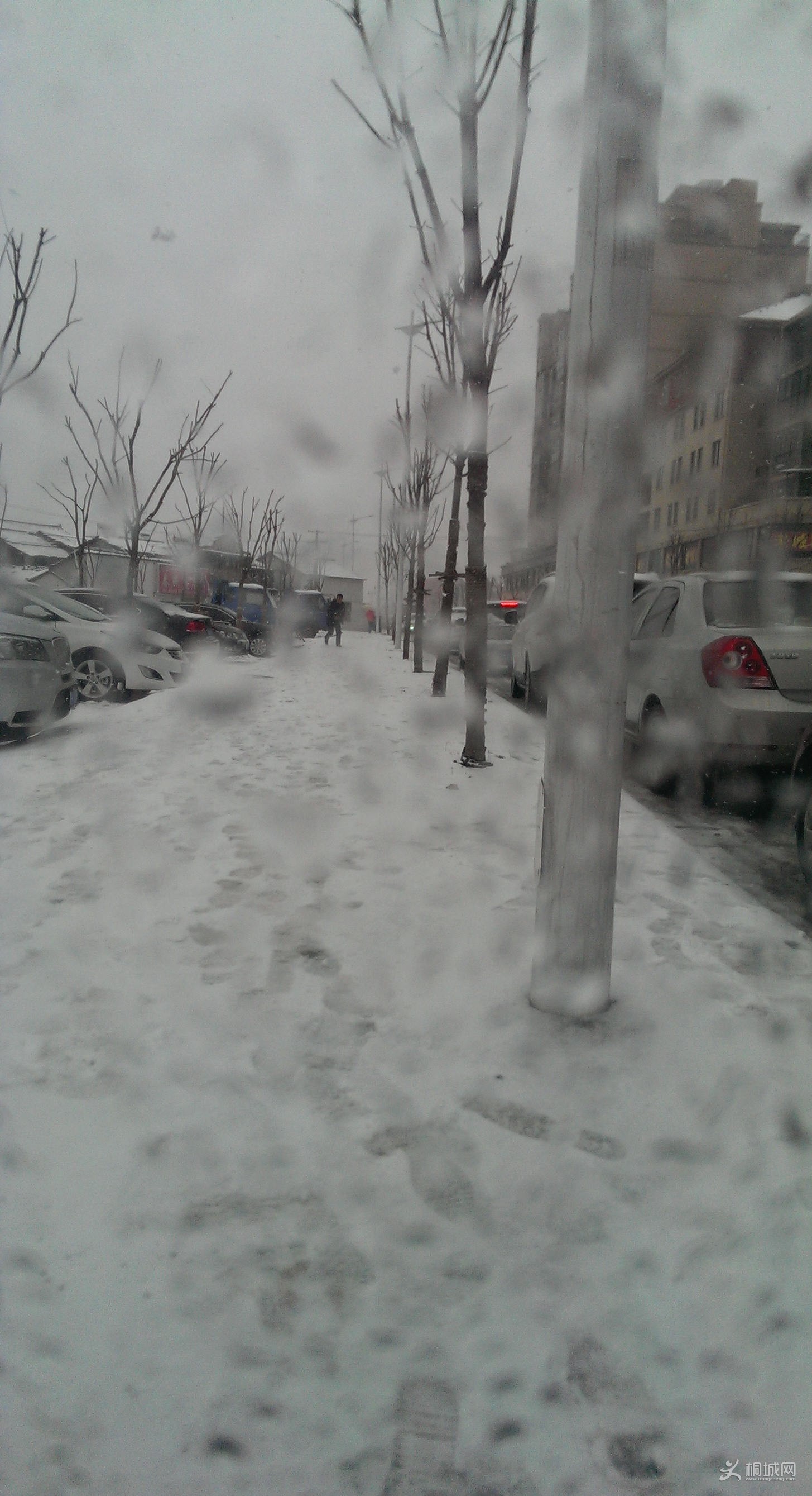 IMAG0799_.jpg