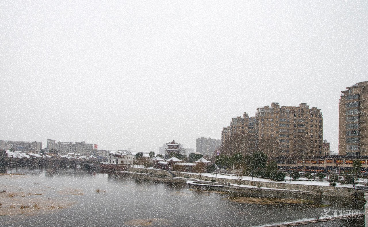 DSC_9102b.jpg