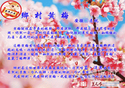 Untitled-1.inddl--S-÷.jpgl--S-÷_-400x283.gif