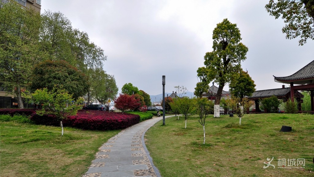 DSC_3050b.jpg