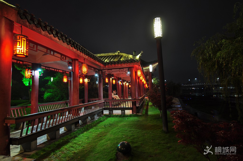 DSC_4528b.jpg