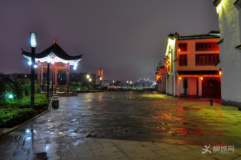 DSC_4519b.jpg