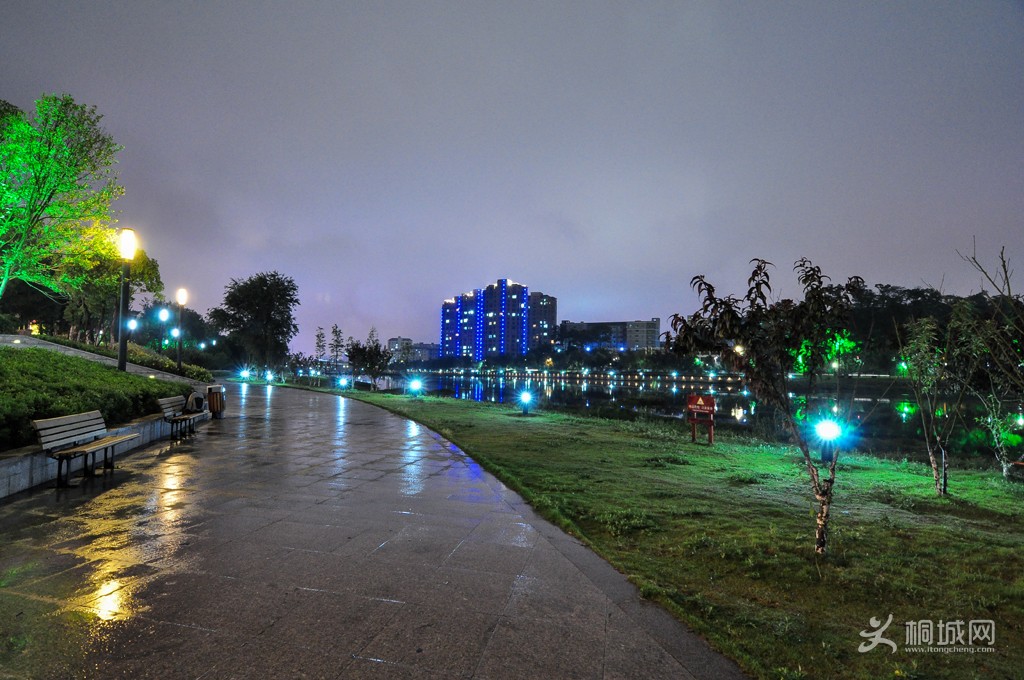 DSC_4468b.jpg