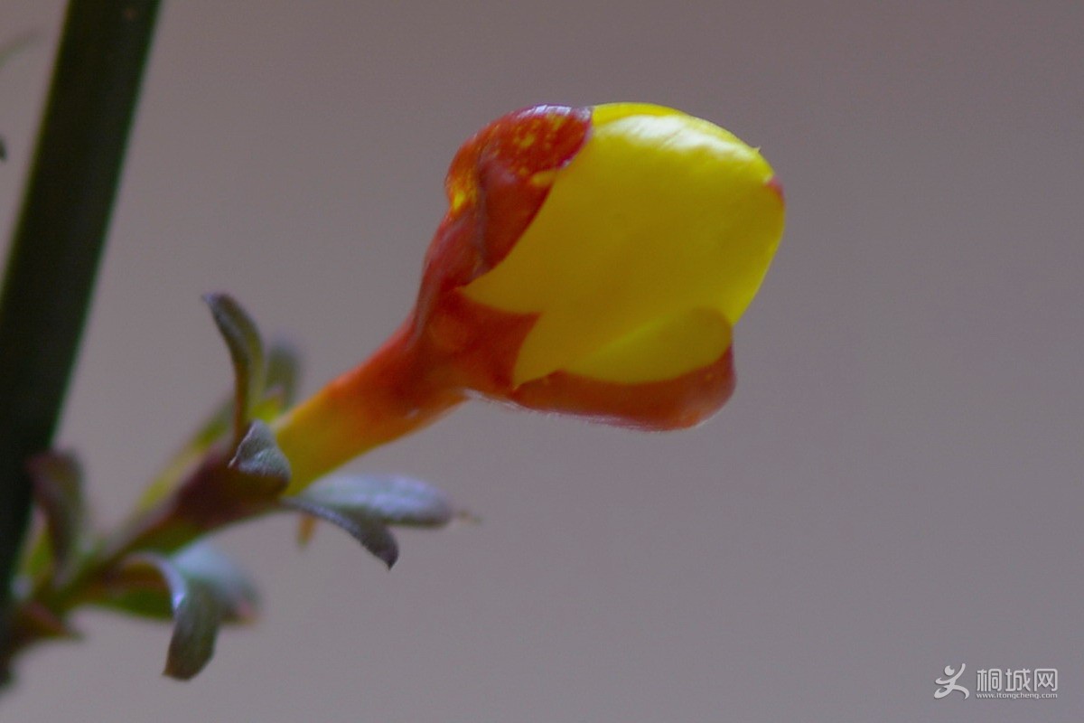 DSC_3627-2.jpg