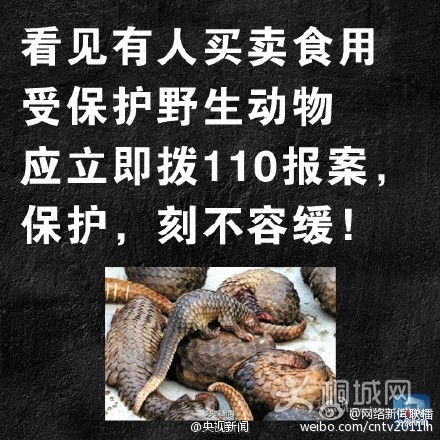 75dda851gw1eq0nk8n2l7j20c80c8ac4.jpg