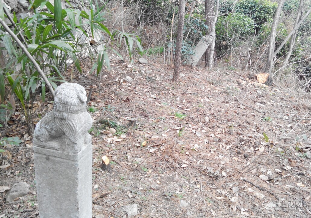 QQͼƬ20150311145205.jpg