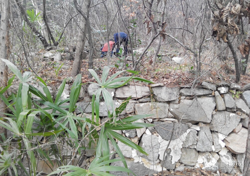 QQͼƬ20150311145137.jpg