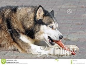 640&amp;wxfrom=5 (1).jpg