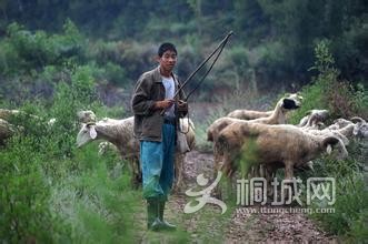 640&amp;wxfrom=5 (3).jpg