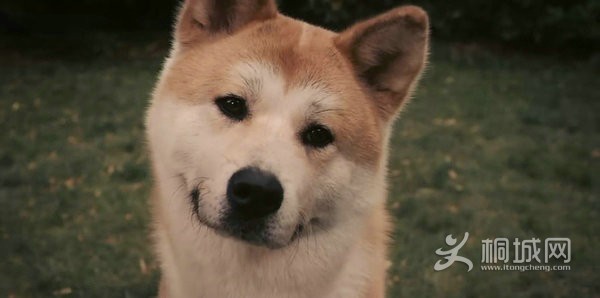 20130122132738_YSurr.jpg