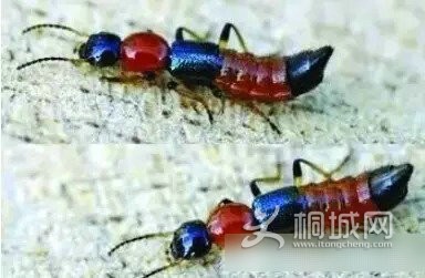 640&amp;wxfrom=5 (1).jpg