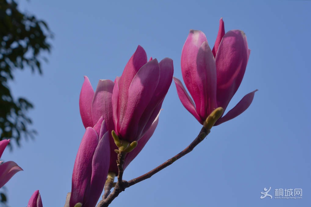 DSC_4157.jpg