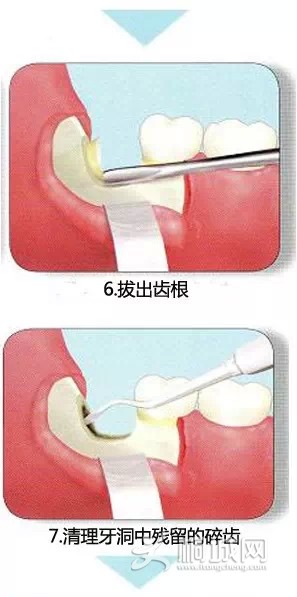 4.webp.jpg