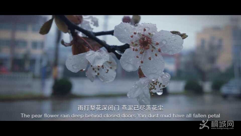 QQͼƬ20150318085649.jpg