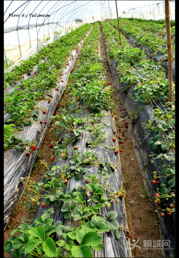 psb (1).jpg