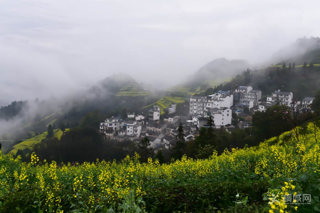 DSC_5406-1.jpg