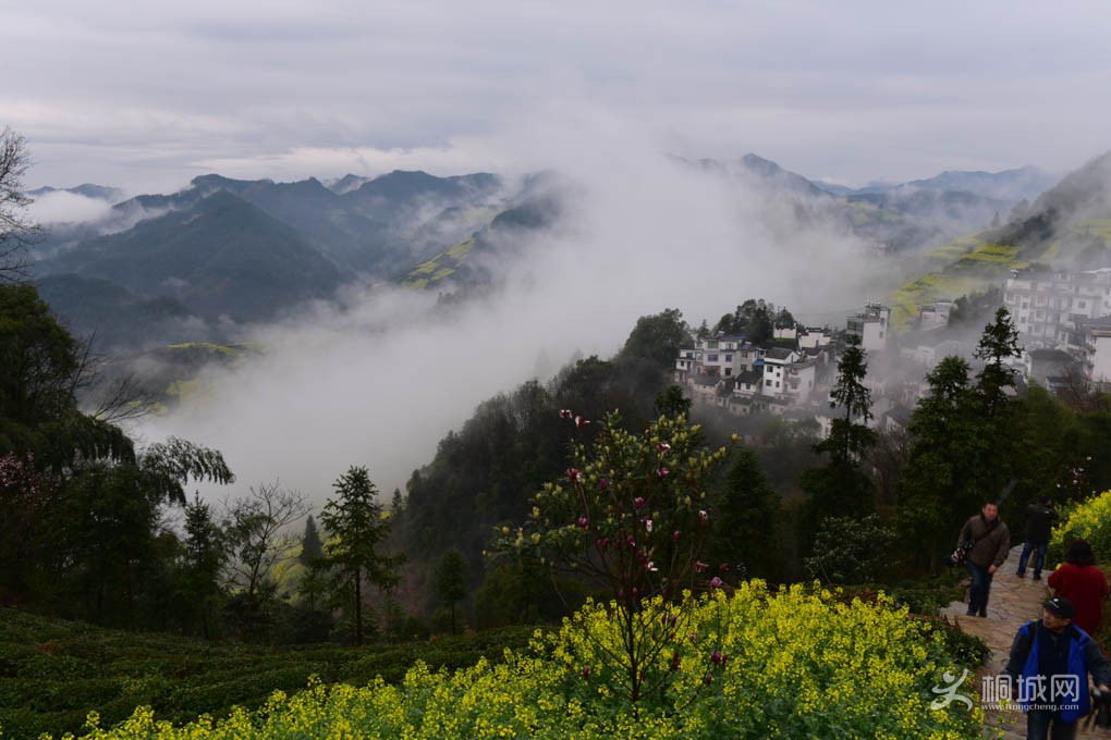 DSC_5489.jpg