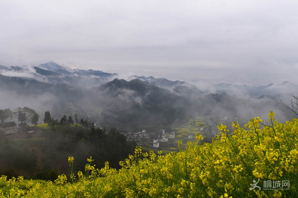 DSC_5511.jpg