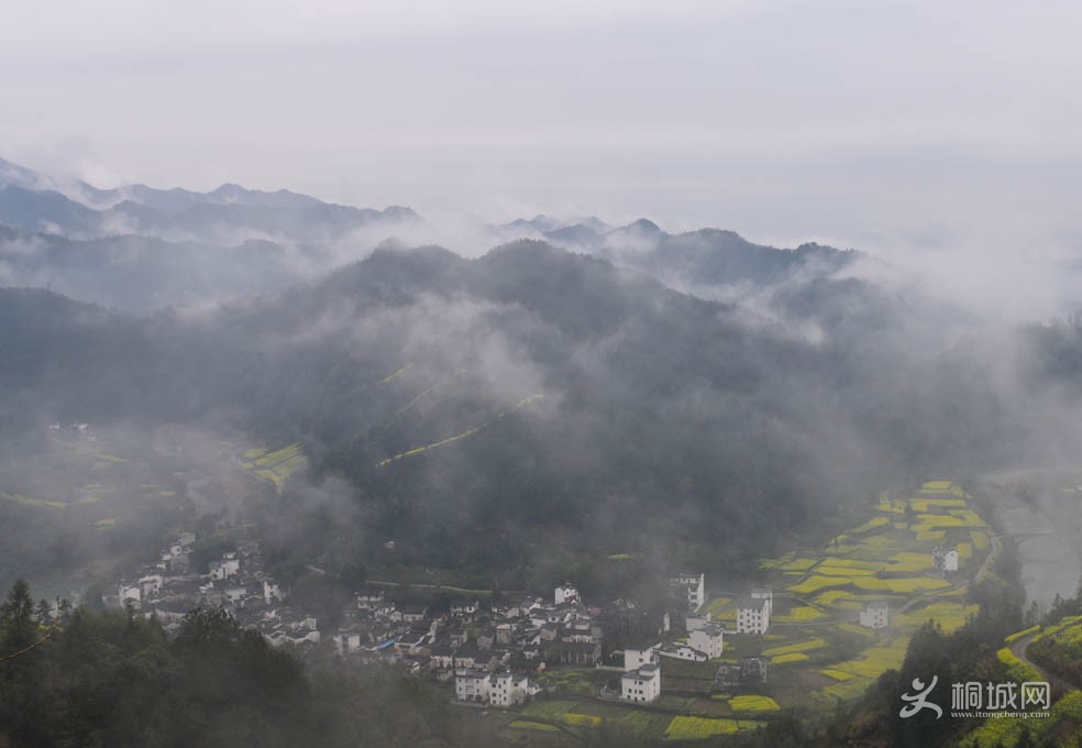 DSC_5513-1.jpg