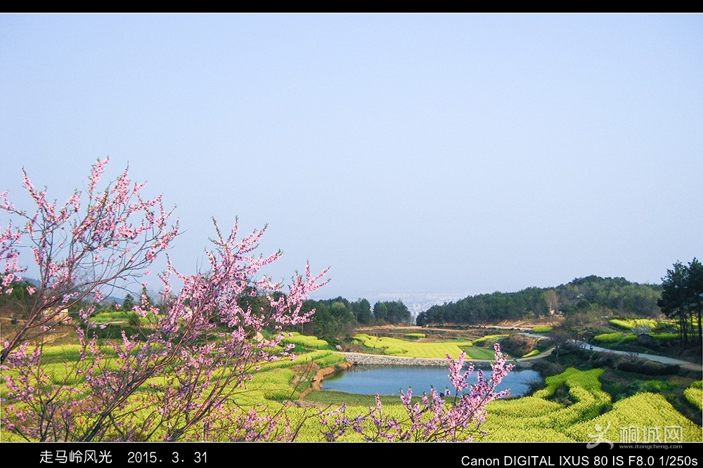 IMG_0071c_2.jpg