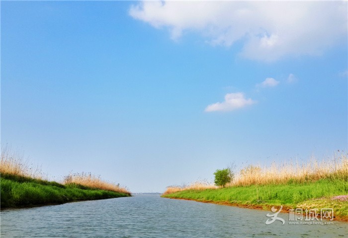 xzh03.jpg