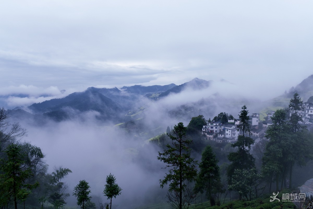 DSC_5415-a.jpg