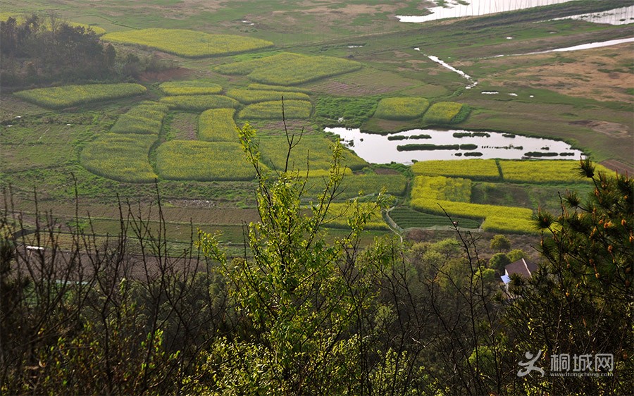 DSC_0246.jpg
